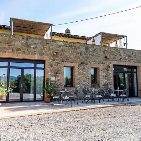 Apartment Il Cipresso - L'olmo - L'ulivo By Interhome *